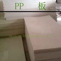 通化厂家直销 优质PP板 环保聚丙烯板 白色PP塑料板